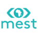 Partner Organization MEST Africa image of MEST Africa Challenge