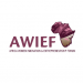 Partner Organization Africa Woman Innovation & Entrepreneurship Forum (AWIEF) image of Awief