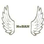 Partner Organization Niger Business Angels Network image of LOGO