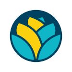 Partner Organization Southern Media image of Southern Media Icon Vc A