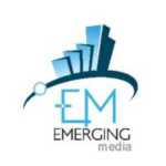 Partner Organization image of Emerging Media