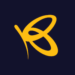 Partner Organization Flutterwave image of Flutter