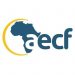 Partner Organization AECF image of Aecf