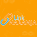 Partner Organization Link Naranja image of Logo LinkNaranja