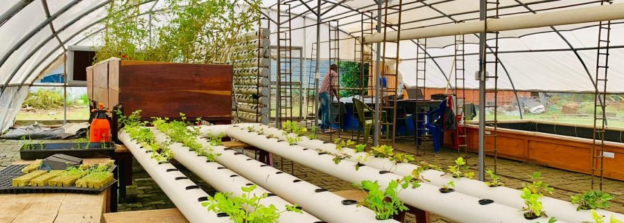Cover image of AquaFarms Africa, Crop farming venture on VC4A