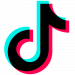 Partner Organization TikTok image of TikTok Logo Present