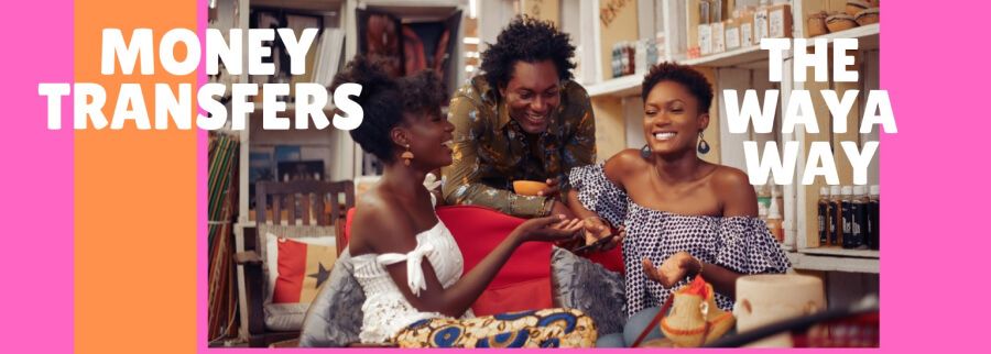 Cover image of Waya Limited, Banking venture on VC4A