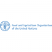 Partner Organization FAO image of FAO Logo