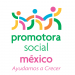 Partner Organization Promotora Social México image of PSM