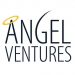 Partner Organization Angel Ventures Mexico L.P. image of Angelventures