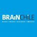 Partner Organization Brain Chile image of Brainchile