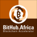 Partner Organization BitHub Africa image of Bithaub