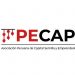 Partner Organization PECAP image of Pecap Logo