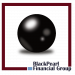 Partner Organization BlackPearl Financial Group image of Bpholding