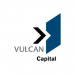 Partner Organization Vulcan Capital image of Download