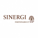 Partner Organization Sinergi Niger image of Download