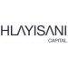 Partner Organization Hlayisani Capital image of Hlyasini