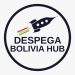 Partner Organization Despega Hub Bolivia imagen de O