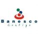 Partner Organization Banesco Banco Universal image of N