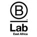 Partner Program SDG Impact Challenge image de B Lab EA Black Logo X