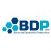 Partner Organization BDP Lab image of N