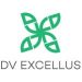 Venture Profile DV Excellus Pvt. Ltd. image of DV Excelsus Logo