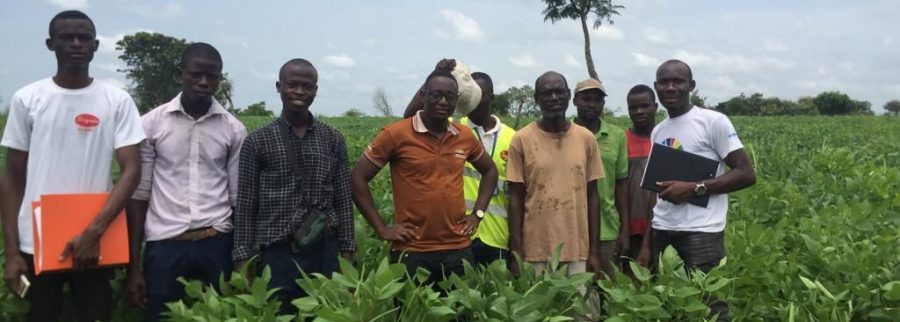 Cover image of ABAC SARL, Agribusiness venture on VC4A