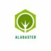 Venture Profile Alabaster Agro-Allied Industries Limited image of N