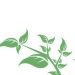 Venture Profile Urban Roof Farm Service by ERST image of ERST Final