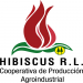 Venture Profile Cooperativa de Producción Agroindustrial Hibiscus image of Logo Hibiscus X Px