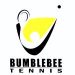Venture Profile Bumblebee Sports and Fitness Ltd image of Bumblebee Logo