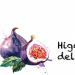 Venture Perfil Asociación de Higueros del Noreste imagen de Screen Shot At PM