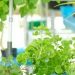 Venture Profile ElSmart Agro Company image of IMG