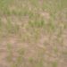 Venture Profile Agricfarmers image of IMG