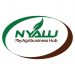 Venture Profile Nyalu Agribusiness Hub image of Logo Nyalu