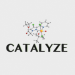 Partner Organization CATALYZE image of Screenshot At
