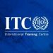 Partner Organization International Training Centre of the ILO imagen de ITC ILO Logo