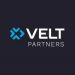 Partner Organization VELT Partners image of 