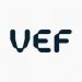 Partner Organization VEF image of 
