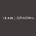 Partner Organization Caribbean Diaspora Angel Investor Network image of CDAIN