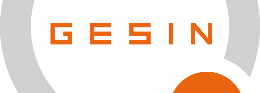 Cover image of GESIN, Jeux informatiques venture on VC4A
