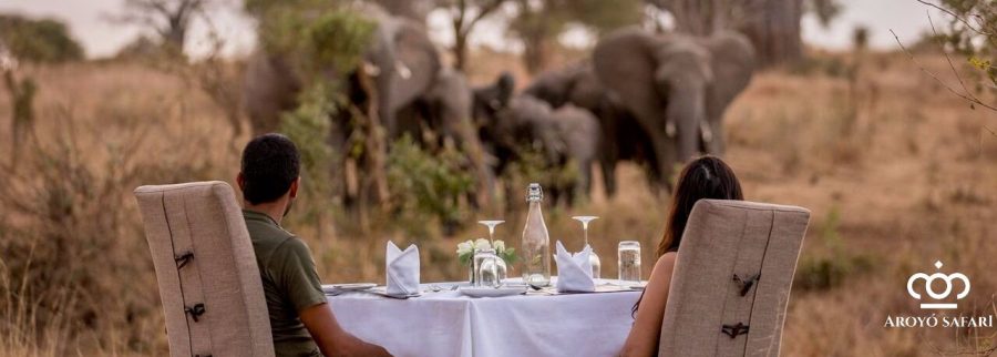 Cover image of Aroyó Safari, Hospitality venture on VC4A