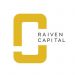 Partner Organization Raiven Capital image of RaivenCapital Logo Primary Master Smaller