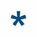Partner Organization Seedstars LATAM image of Logomark Blue X