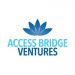 Partner Organization Access Bridge Ventures image of 