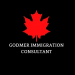 Partner Organization Godmer Immigration Consultant image de Dark Violet Lines Attorney Amp Law Logo