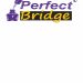 Venture Profile Perfect Bridge SARLU image of Logo Perfect Bridge JPEG
