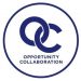 Partner Organization OC Impact image of LogoOC