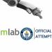 Partner Event mLab’s Official Guinness World Record Attempt imagen de Screenshot At