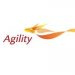 Partner Organization Agility Ventures image of 